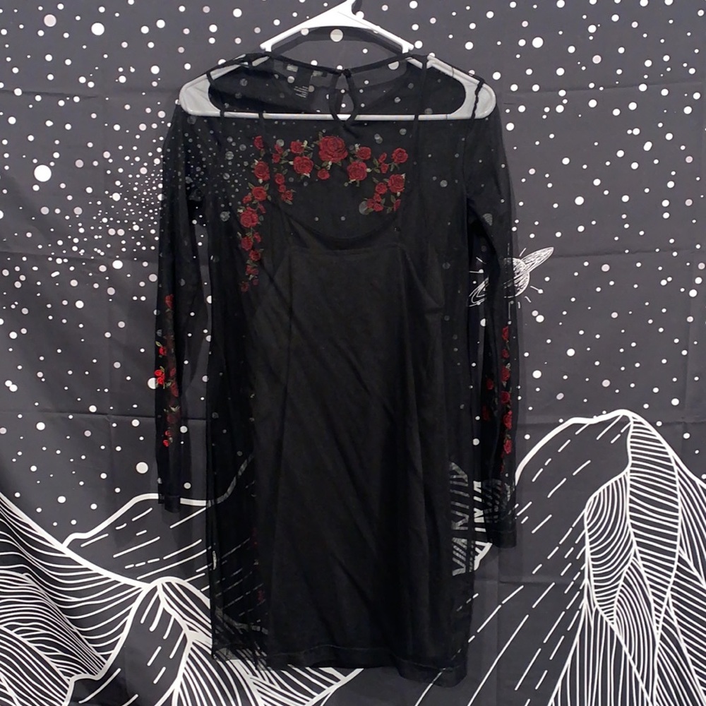 SHEER ROSE 🌹 DRESS - Picture 4 of 5